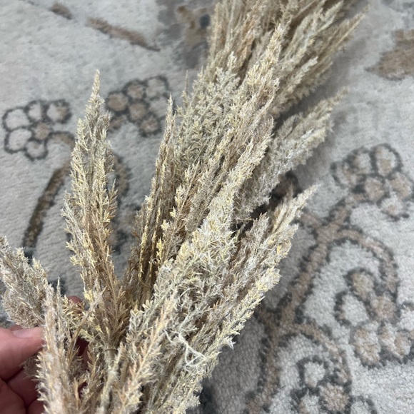Hobby Lobby Accents Hobby Lobby Pampas Grass Poshmark